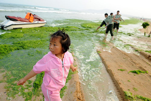 Fighting algae in E China coastal city