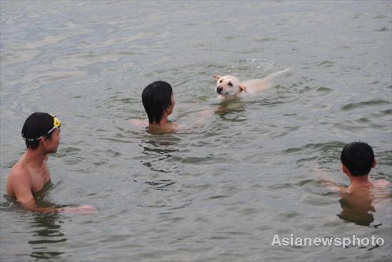 Looking for refreshment in hot weather