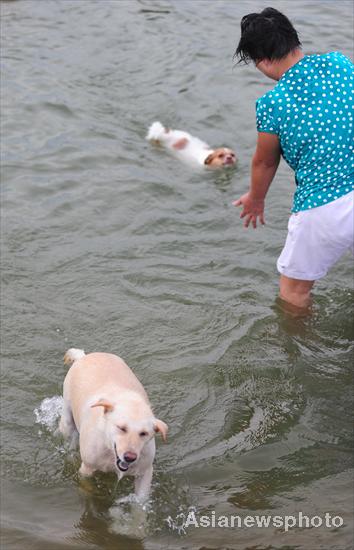 Looking for refreshment in hot weather