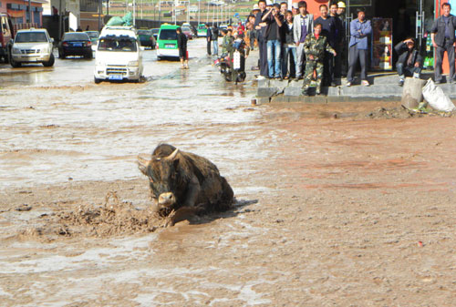 Flood in Qinghai fills streets, clogs traffic