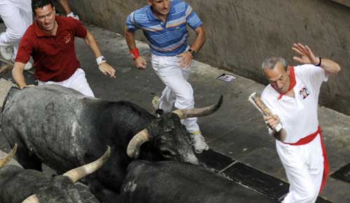 Running of bulls at San Fermin festival