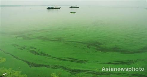 Algae outbreak threatens drinking water source