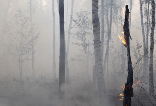 Wildfire burns in Russia