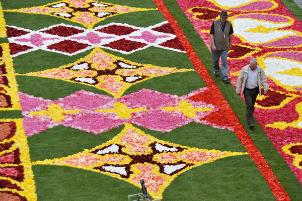 A carpet of flowers laid out in Brussels