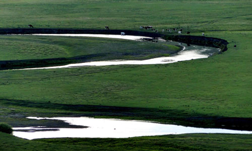 Beautiful scenes from Hulunbuir grassland