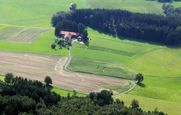 Giant swastika found on German farm