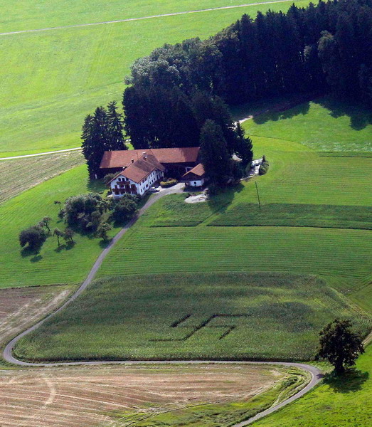 Giant swastika found on German farm