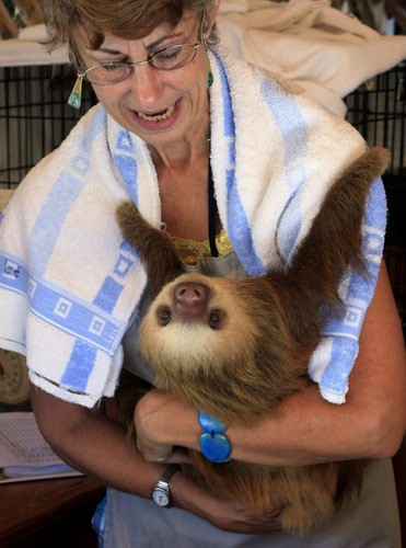 Sloth sanctuary in Costa Rica
