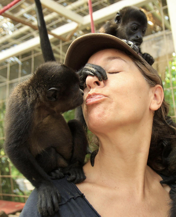 Monkeys bond well with biologist