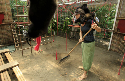 Monkeys bond well with biologist