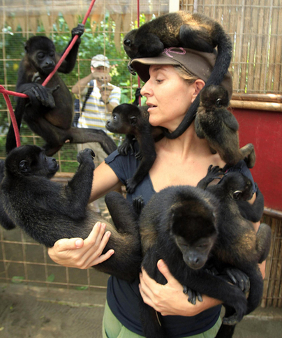 Monkeys bond well with biologist