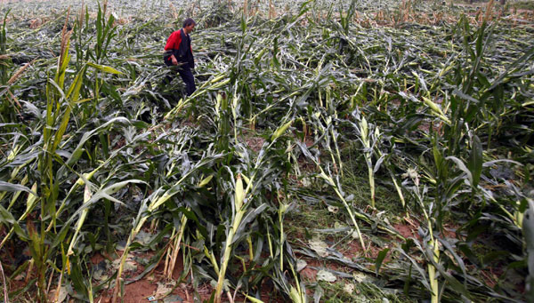 Storm hits central China, one dead