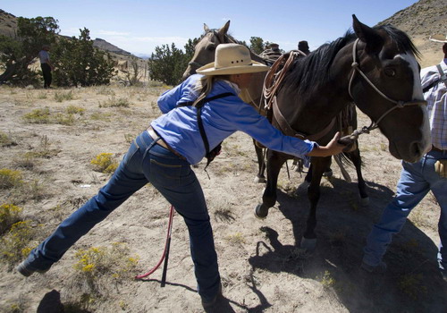 Pilot a helicopter to herd horses