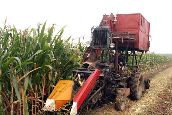 Good harvest is around China this autumn