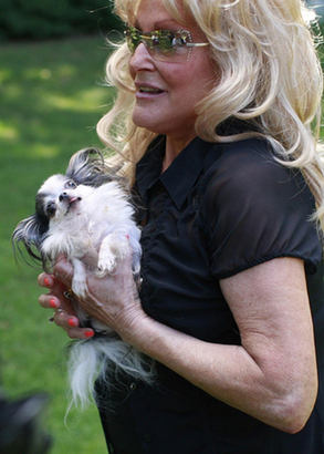 Guinness record's smallest and tallest living dog