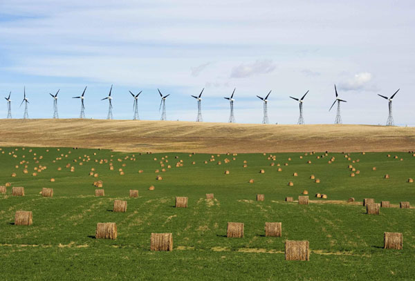 Canadian province benefits from wind of Rocky Mountains