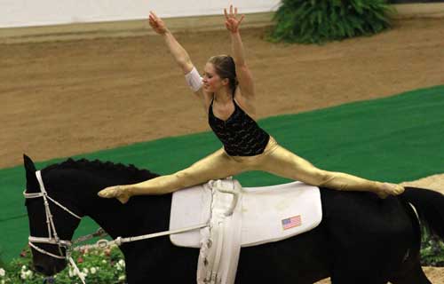 World Vaulting Championship