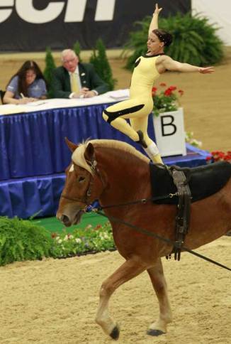 World Vaulting Championship