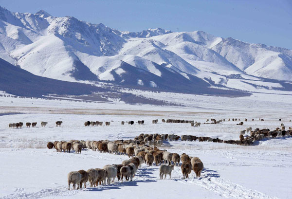 Winter beckons as early snow covers Tianshan