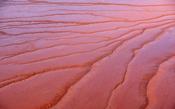 Hungary secures spill firm premises