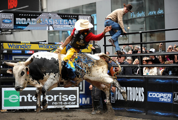 Bull riding competition in New York's Times Square