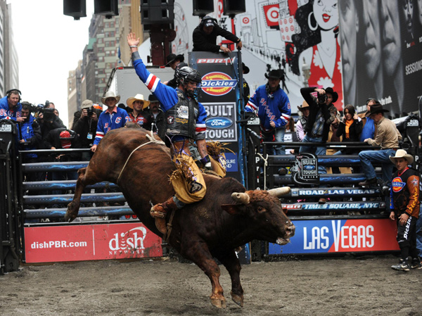 Bull riding competition in New York's Times Square