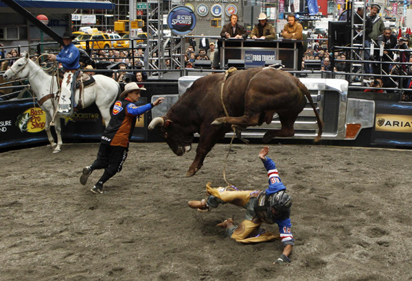 Bull riding competition in New York's Times Square