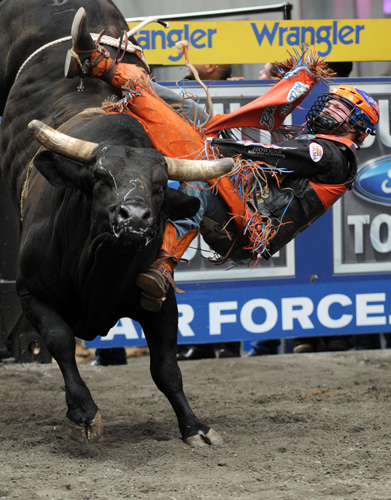 Bull riding competition in New York's Times Square