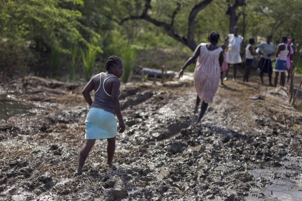 Haiti cholera 'settling', toll near 300