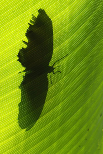 Costa Rica shows excellence in biodiversity
