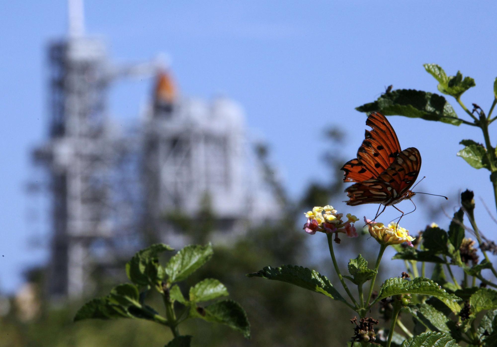 Space Shuttle Discovery waits for final voyage
