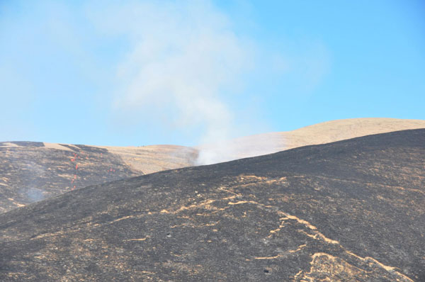 Grassland fire put out in SW China