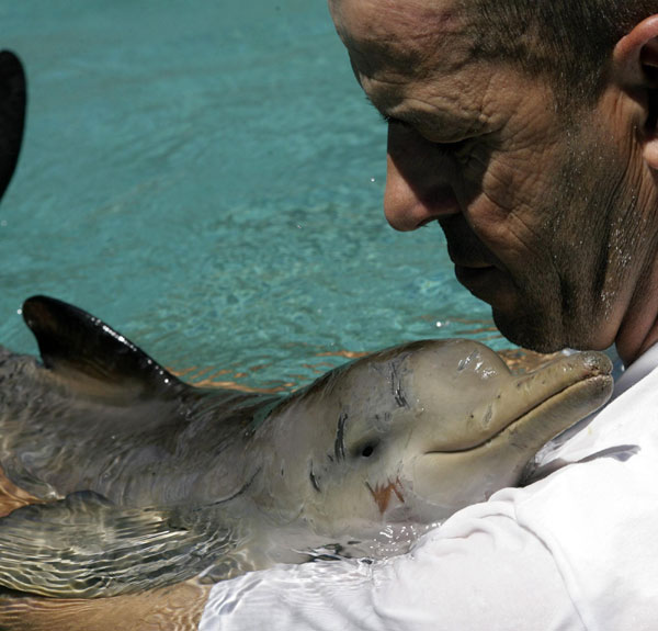 Injured baby dolphin gets a warm hug