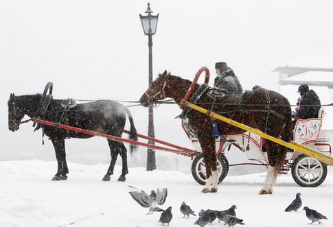 Moscow in white