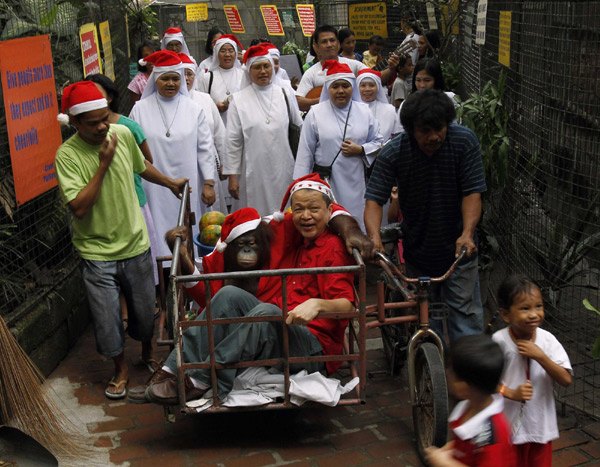 Animal Christmas party in the Philippines