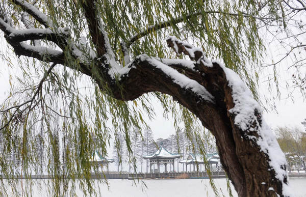 Snowfall sweeps many parts of China