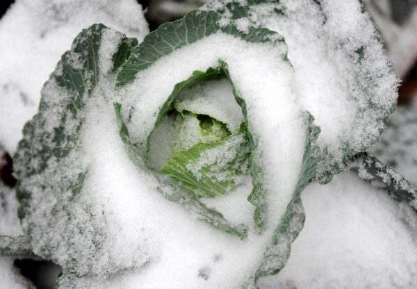 Snowfall sweeps many parts of China