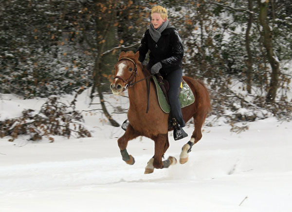 Winter fun