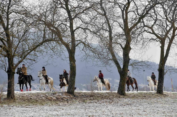 Taking a ride on St. Stephen's Day