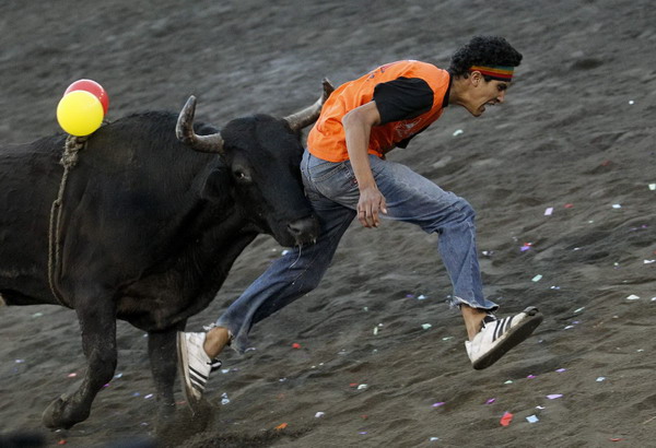 Fighting the bull