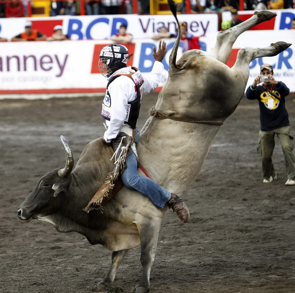 Fighting the bull