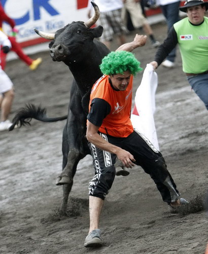 Fighting the bull