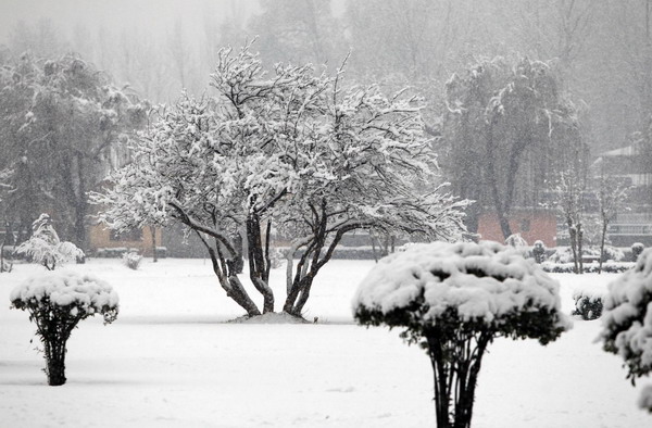 India salutes season's first snow