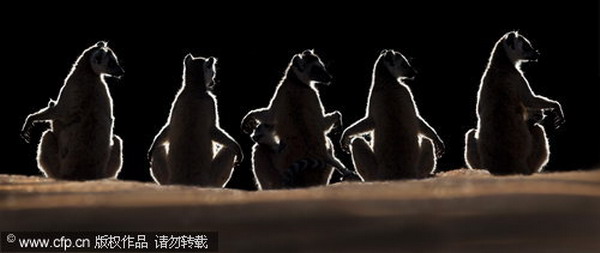 Exploring Madagascar