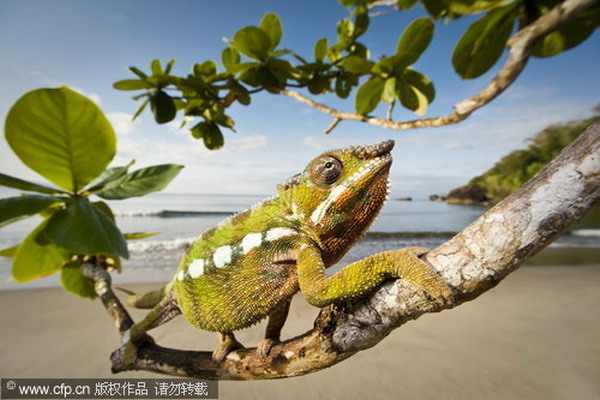 Exploring Madagascar