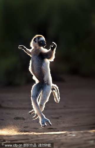 Exploring Madagascar