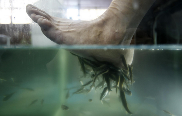 Fish spa for skin care