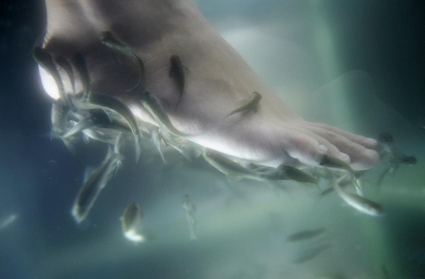 Fish spa for skin care