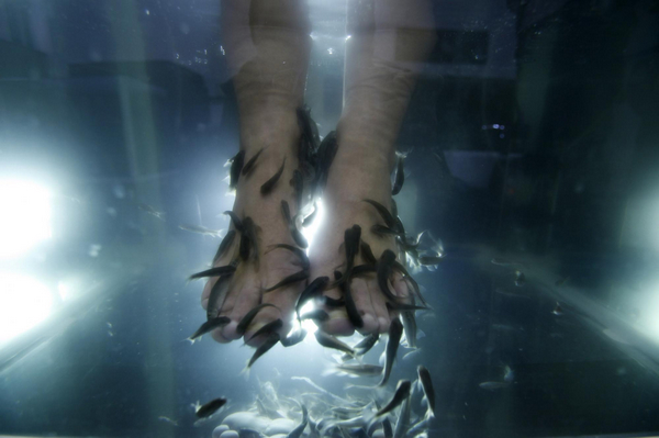 Fish spa for skin care
