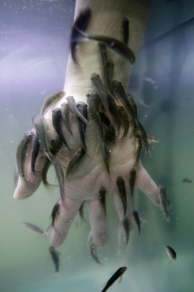 Fish spa for skin care